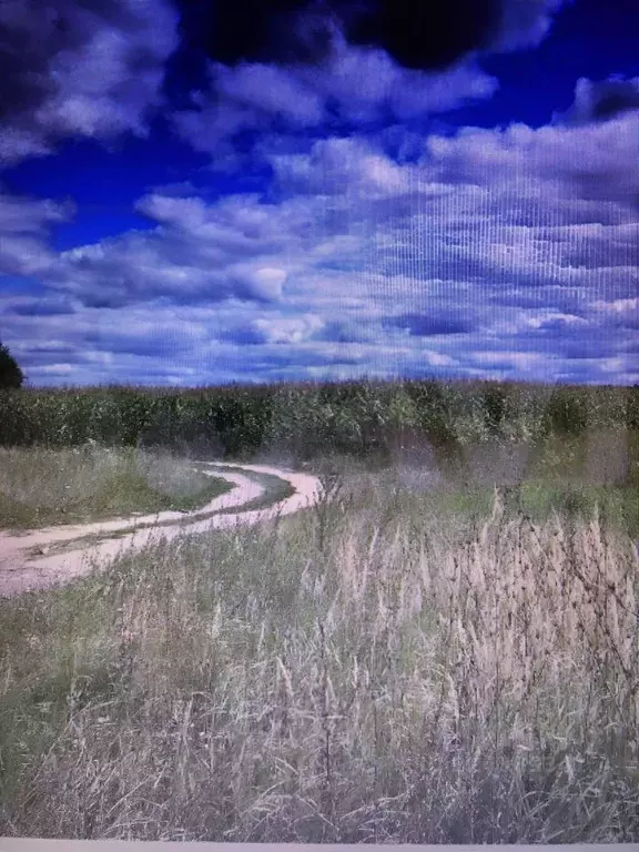 Участок в Рязанская область, Спасский муниципальный округ, Панинское ... - Фото 1