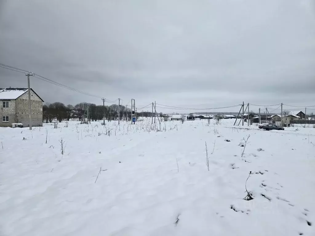 Участок в Ленинградская область, Ломоносовский район, Лопухинское ... - Фото 1