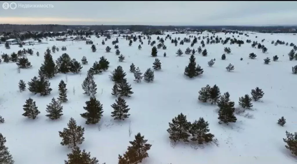 Участок в село Фирсово, микрорайон Рощино, улица Пушкина (8 м) - Фото 0