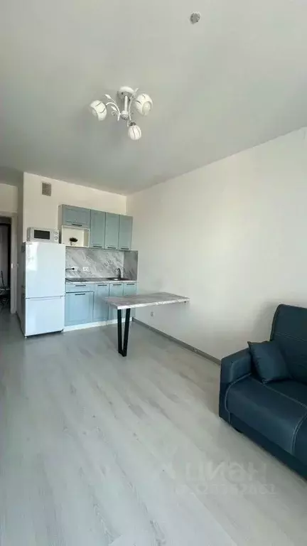 Студия Санкт-Петербург просп. Буденного, 23к1 (24.3 м) - Фото 1