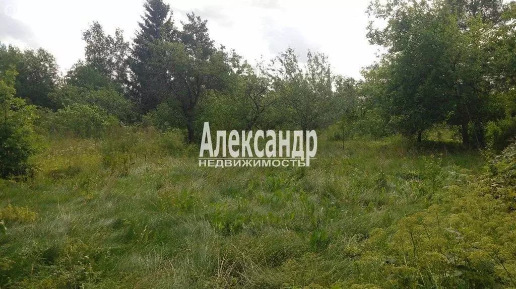 Участок в Иссадское сельское поселение, деревня Глядково, Озёрная ... - Фото 1