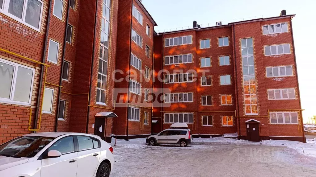 1-к кв. Оренбургская область, Бузулук ул. Челюскинцев, 73 (30.4 м) - Фото 1