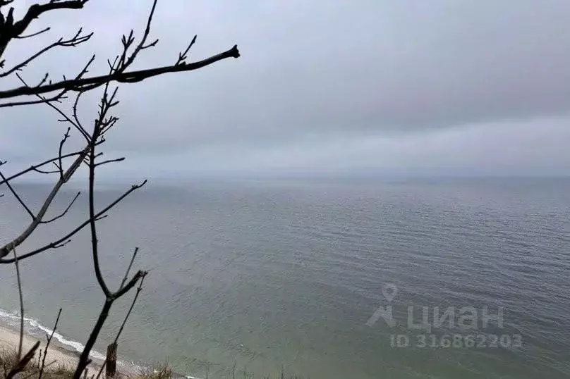 3-к кв. Калининградская область, Светлогорский городской округ, пос. ... - Фото 1
