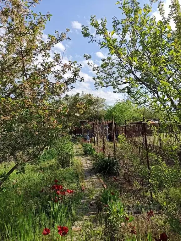 Участок в Ростовская область, Азов Азовский район, Мичуринец-3 мкр, ... - Фото 2