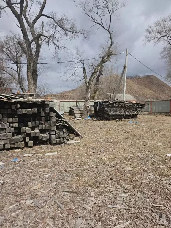 Участок в Приморский край, Партизанский муниципальный округ, с. ... - Фото 0