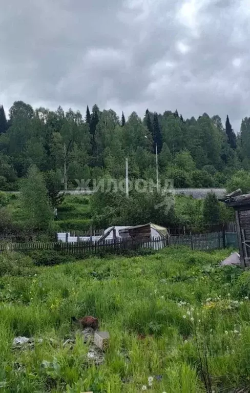 Участок в Кемеровская область, Таштагол Геологическая ул., 11 (5.0 ... - Фото 0