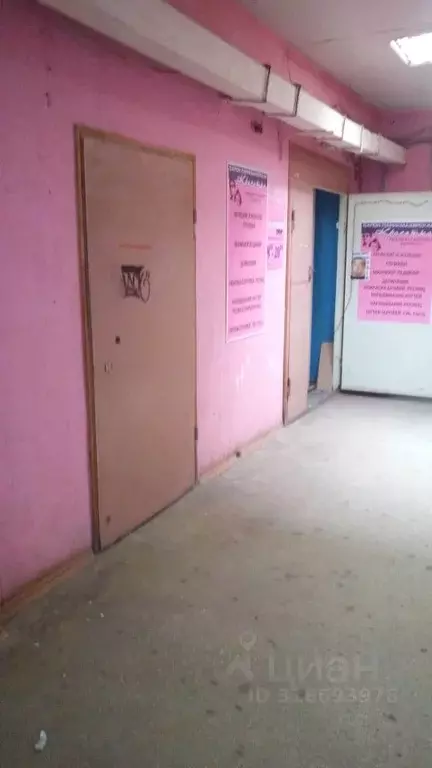 Помещение свободного назначения в Тверская область, Тверь ул. Паши ... - Фото 0