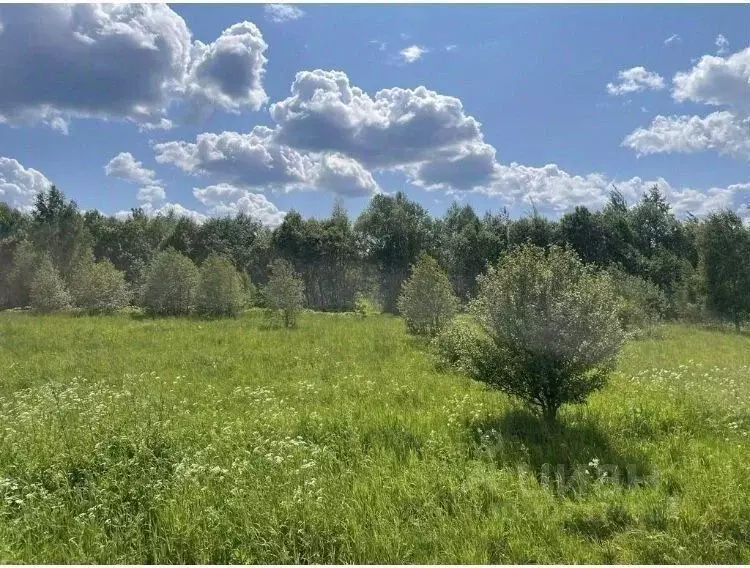 Участок в Московская область, Солнечногорск городской округ, д. ... - Фото 1