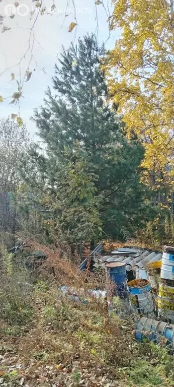 Дом в Хабаровск, улица Маяковского, 138 (54.4 м) - Фото 1