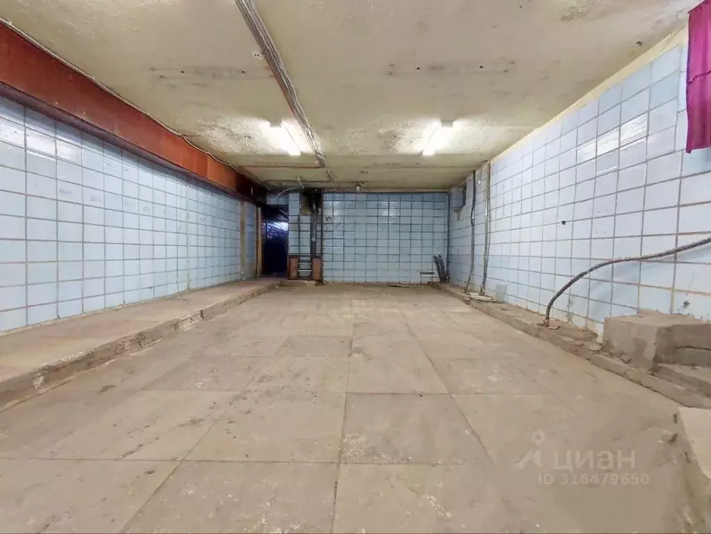 Склад в Саратовская область, Саратов просп. Имени 50 лет Октября, 124 ... - Фото 1