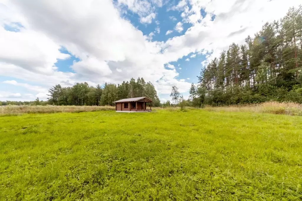 Дом в Карелия, Прионежский район, с. Заозерье ул. Загородная, 1 (30 м) - Фото 1