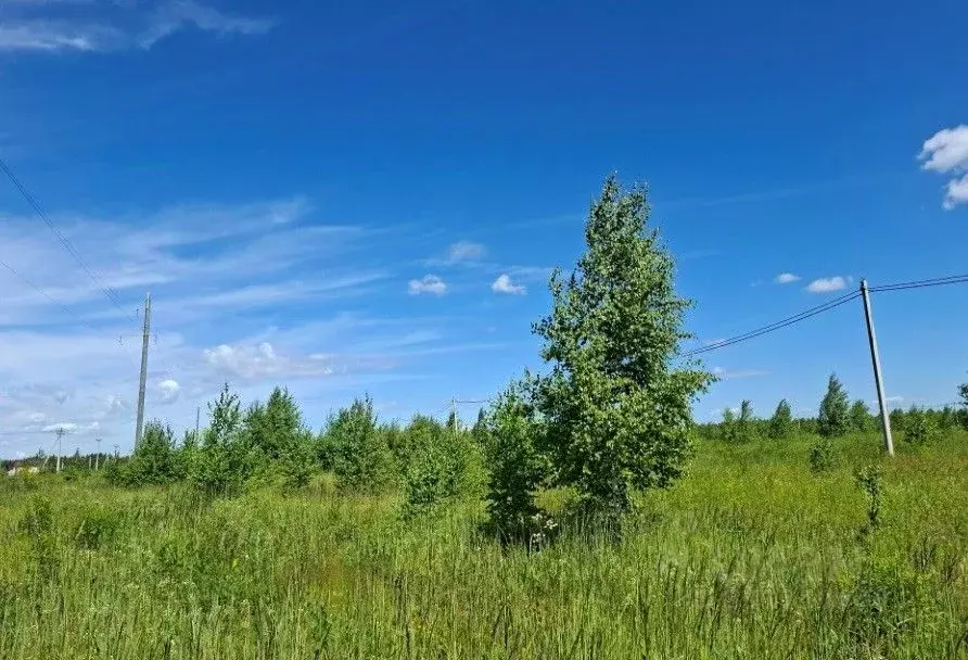Участок в Московская область, Луховицы муниципальный округ, пос. ... - Фото 1
