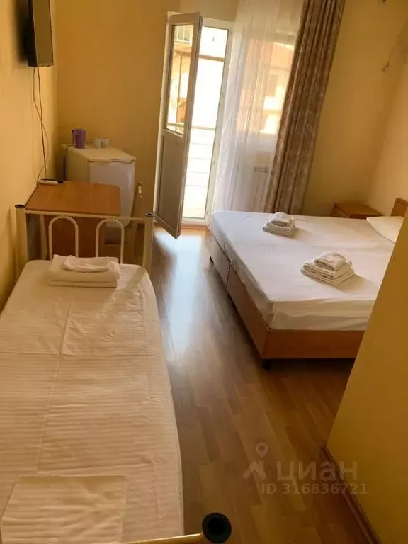 Комната Краснодарский край, Сириус пгт ул. Тюльпанов, 1/9 (20.0 м) - Фото 0