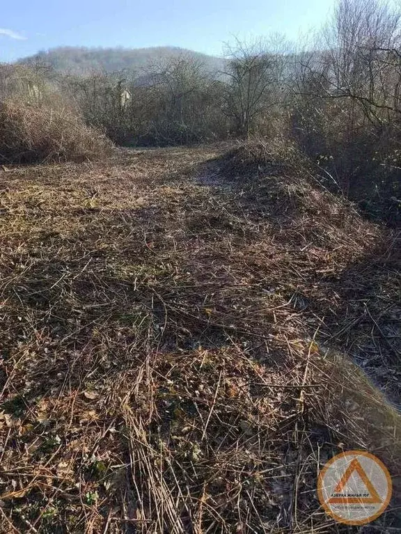 Участок в Краснодарский край, Туапсинский муниципальный округ, с. ... - Фото 2