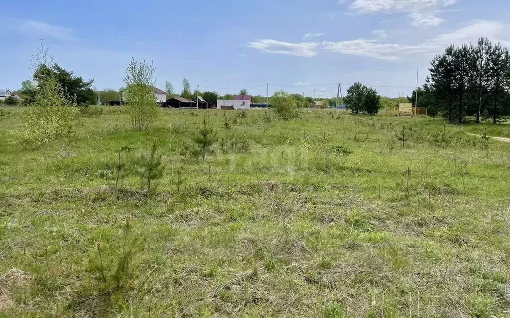 Участок в Калужская область, Дзержинский муниципальный округ, Дворцы ... - Фото 1