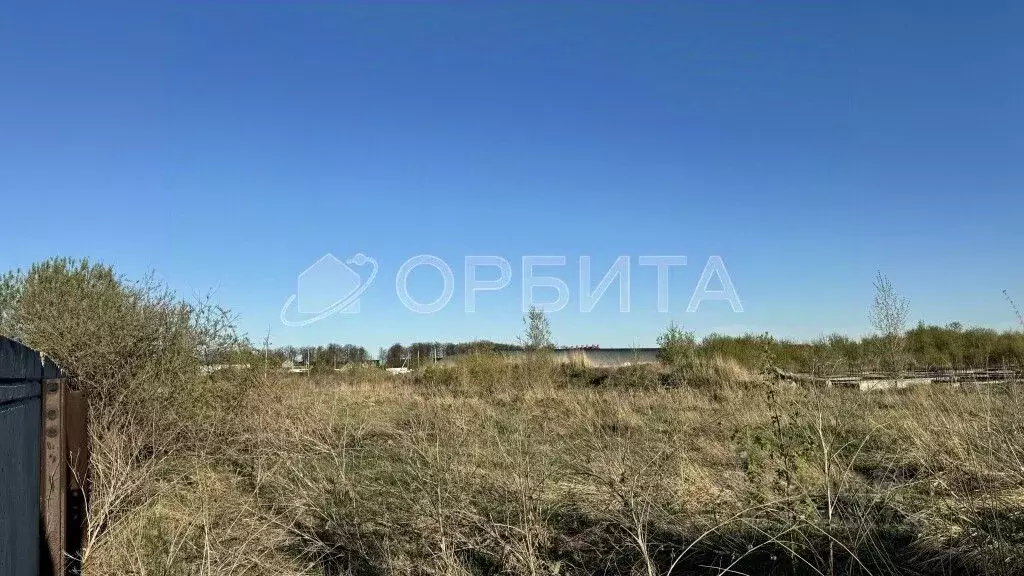 Участок в Тюменская область, Тюменский район, с. Яр  (227.0 сот.) - Фото 1