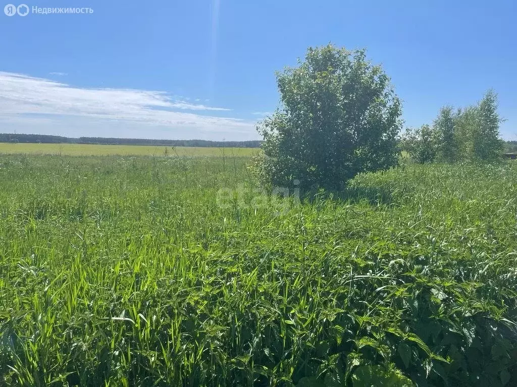 Участок в село Иваново, Луговая улица (15 м) - Фото 1