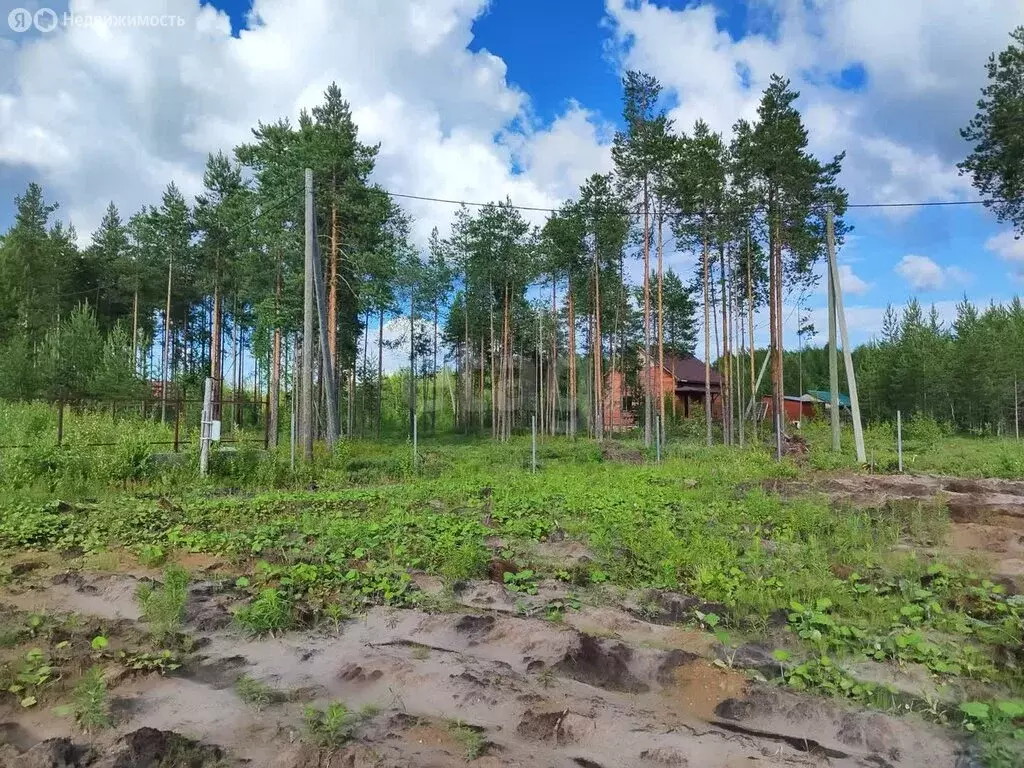 Участок в Верхняя Максаковка, 2-я линия (14 м) - Фото 1