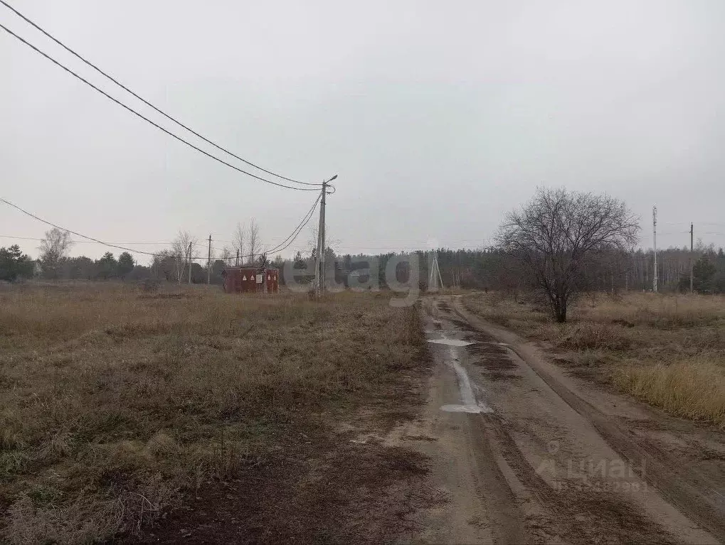 Участок в Воронежская область, Рамонский район, Новоживотинновское ... - Фото 1