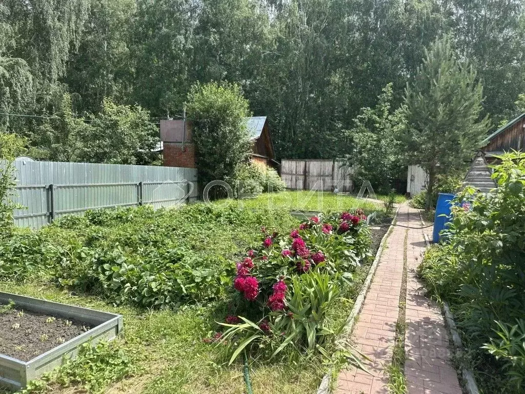 Участок в Тюменская область, Тюменский район, Лесное СНТ ул. Речная ... - Фото 0