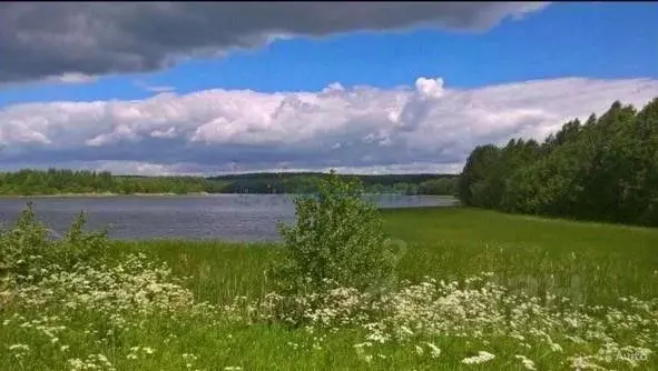 Участок в Владимирская область, Гороховецкий муниципальный округ, д. ... - Фото 1