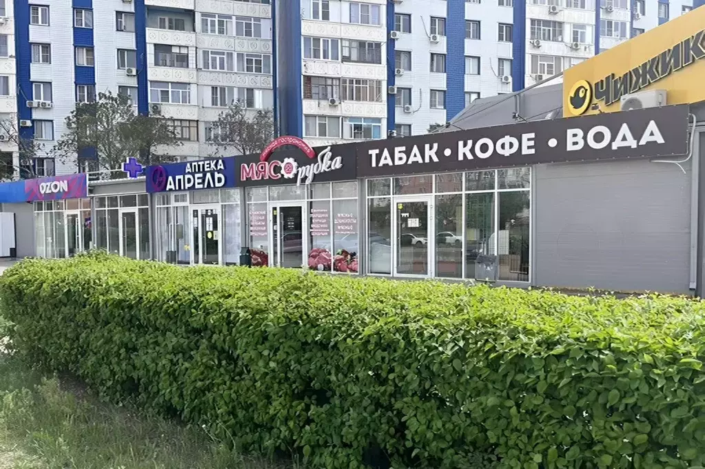 Торговая площадь в Ростовская область, Волгодонск Весенняя ул., 12А ... - Фото 1