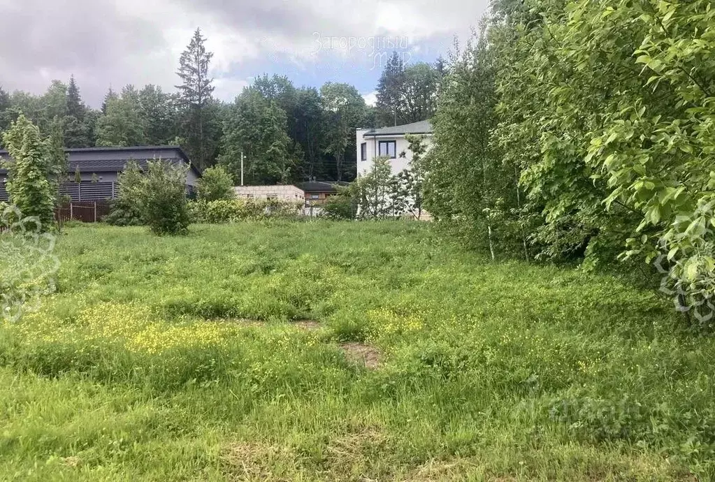 Участок в Московская область, Пушкинский городской округ, д. Мураново ... - Фото 2