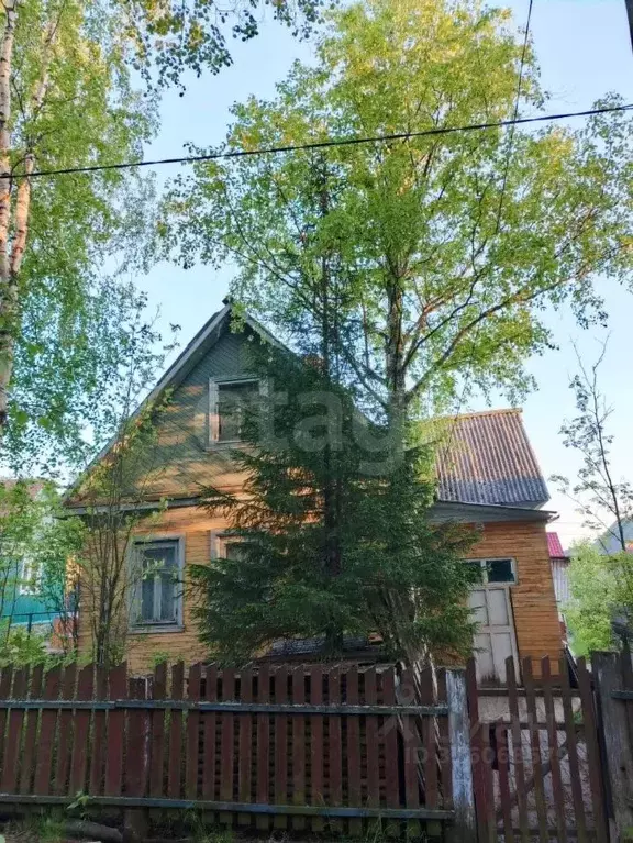 Участок в Архангельская область, Архангельск пос. 2-го Лесозавода, ул. ... - Фото 1