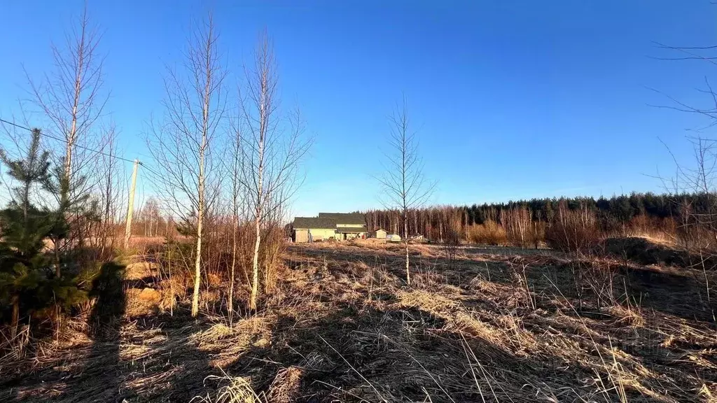 Участок в Ленинградская область, Всеволожский район, Заневское ... - Фото 0