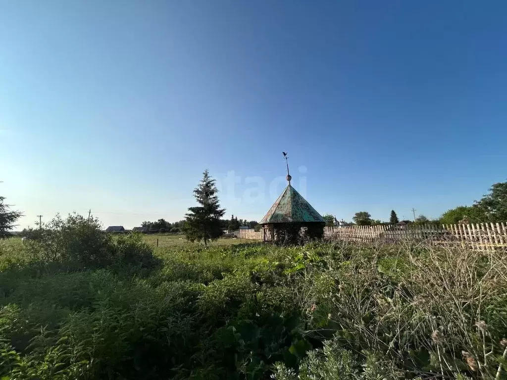 Участок в Курганская область, Белозерский муниципальный округ, с. ... - Фото 1