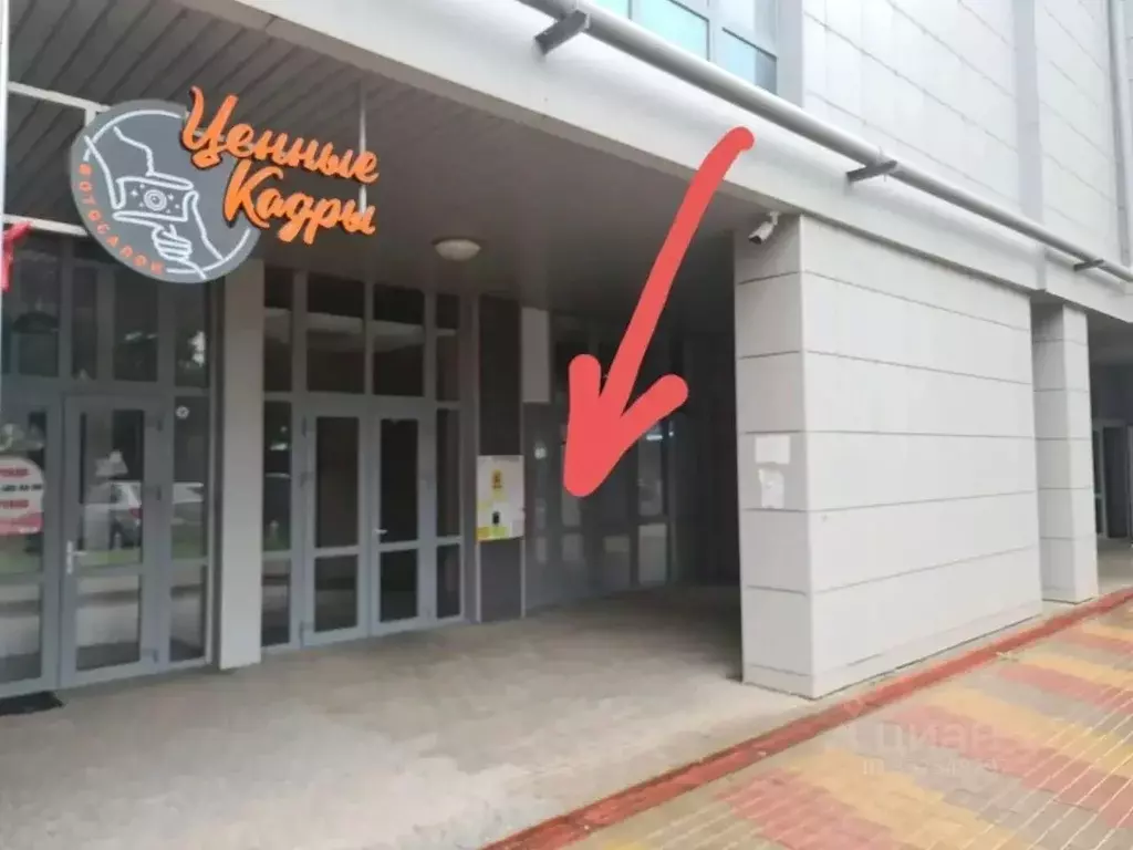 Помещение свободного назначения в Белгородская область, Белгород ул. ... - Фото 1