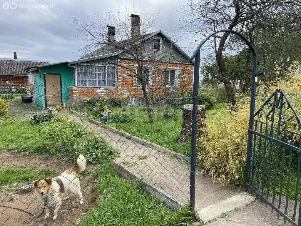 Дом в Псковская область, Порховский муниципальный округ, деревня ... - Фото 1