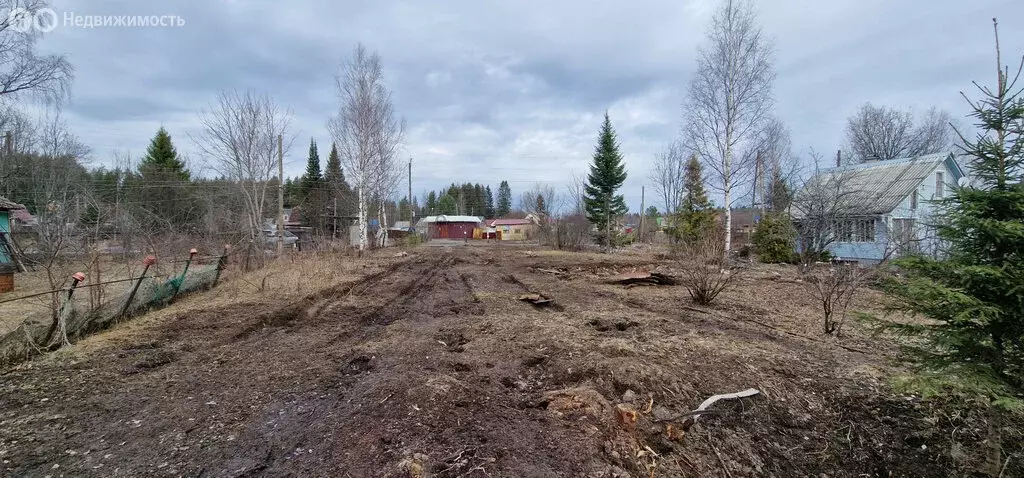 Участок в Чалнинское сельское поселение, садоводческое некоммерческое ... - Фото 2