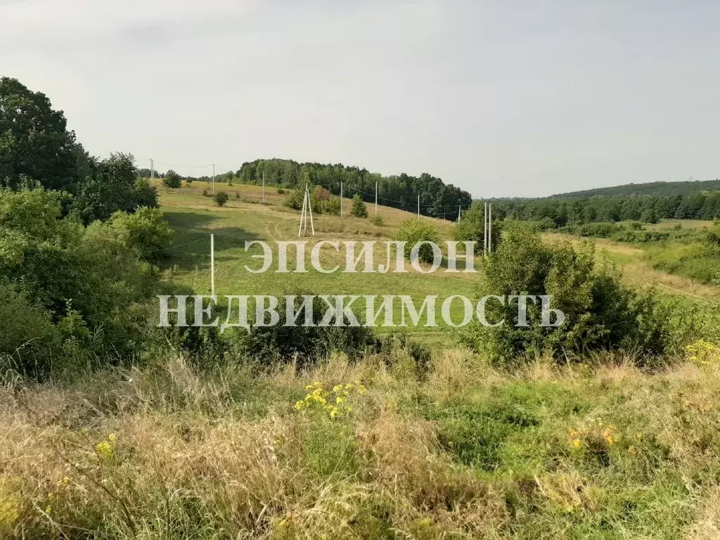 Участок в Курская область, Курск Моква СНТ, 1 (50.0 сот.) - Фото 0