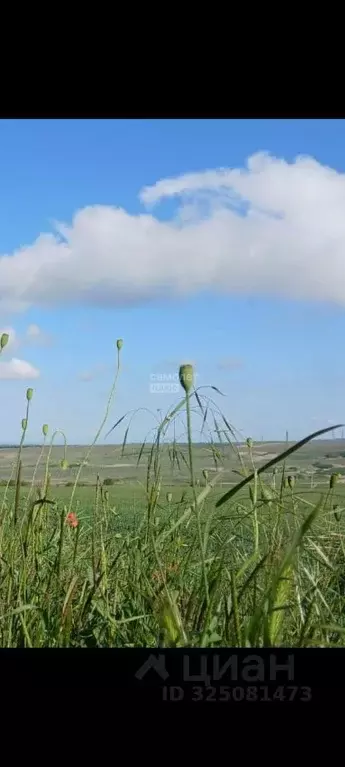 Участок в Краснодарский край, Армавир Песчаная ул., 12 (21.0 сот.) - Фото 1