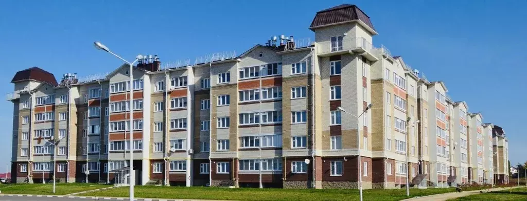 3-к кв. Белгородская область, Белгородский район, Разумное рп ул. ... - Фото 0