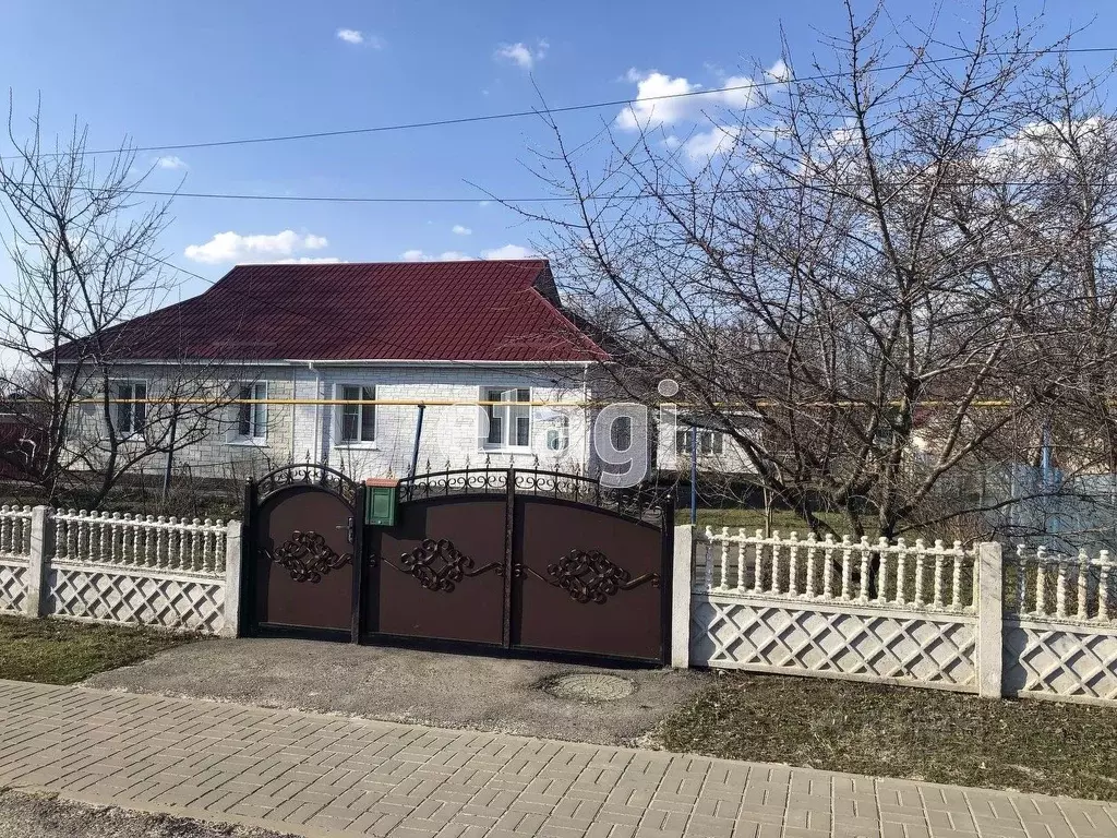 Область поселок красная яруга. Красная Яруга Центральная 41. Пгт красная Яруга Белгородская. Пгт. Красная Яруга Белгородская обл. П красная Яруга улица Центральная 41