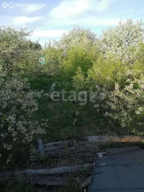 Участок в Кыштым, СНТ Мичуринец (3.3 м) - Фото 1