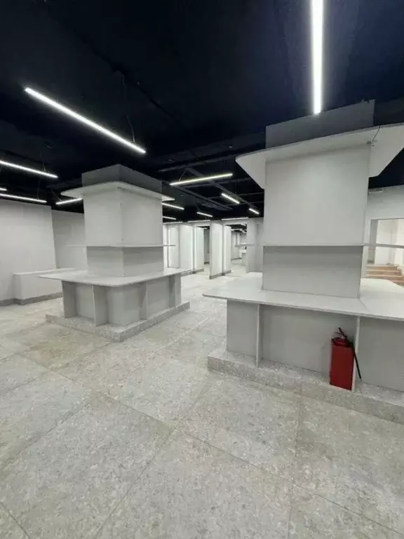 Помещение свободного назначения в Москва 1-я Тверская-Ямская ул., 28 ... - Фото 1