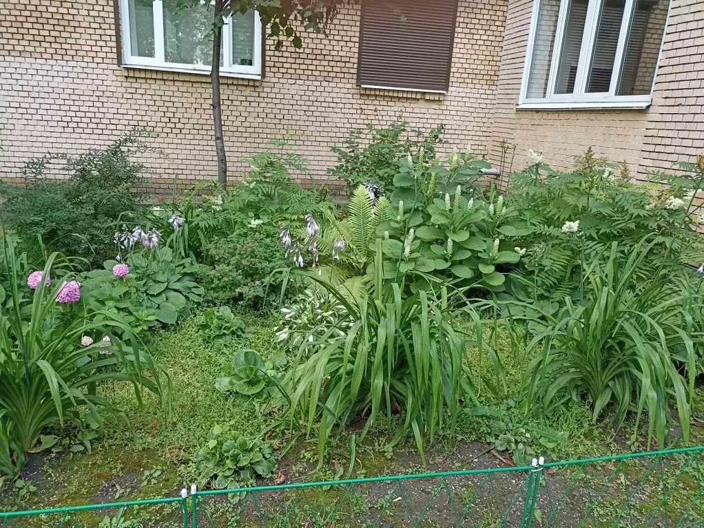 1-к кв. Москва Нахимовский просп., 22 (36.0 м) - Фото 1