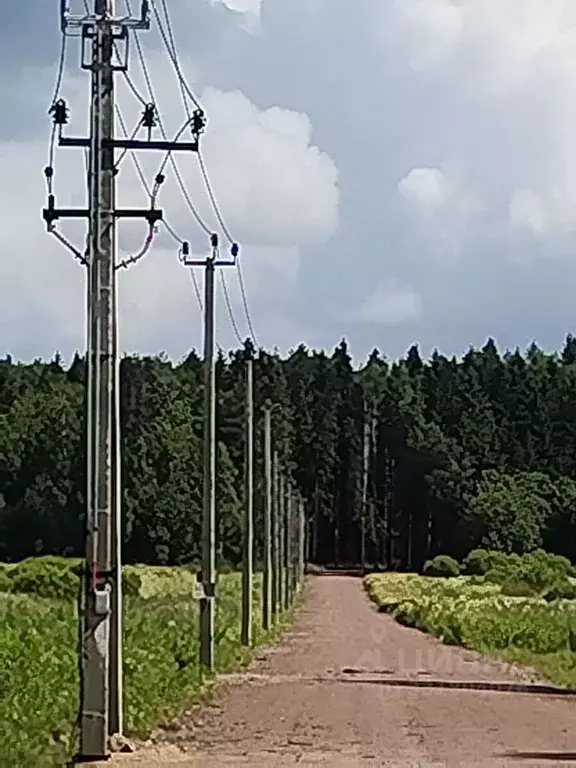 Участок в Ленинградская область, Всеволожск  (7.48 сот.) - Фото 1