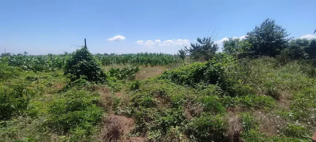 Участок в Краснодарский край, Северский район, Михайловское с/пос, с. ... - Фото 1