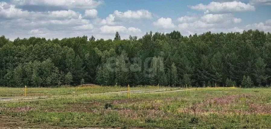 Участок в Омская область, Кормиловский район, д. Байкал ул. Мичурина ... - Фото 0