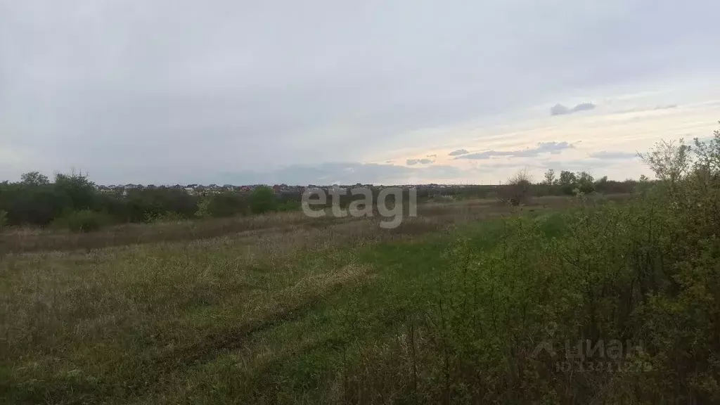 Участок в Белгородская область, Белгород Сухой Лог садоводческий ... - Фото 0