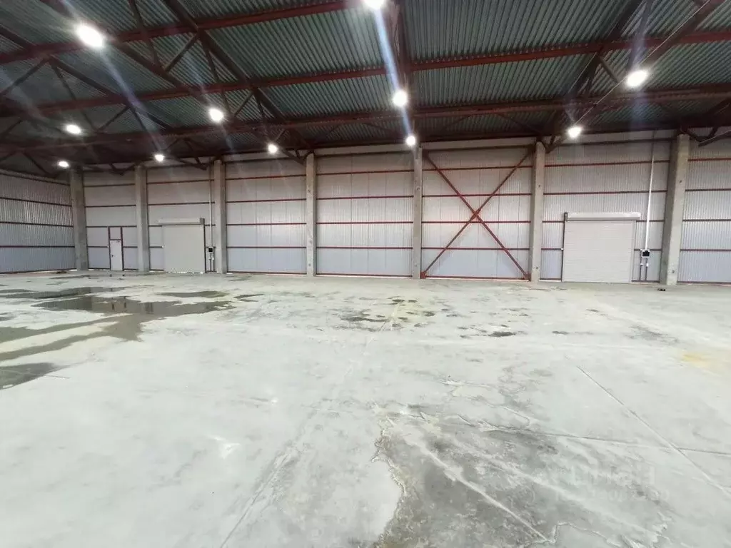 Склад в Краснодарский край, Краснодар Центральный мкр, ул. Буденного, ... - Фото 1