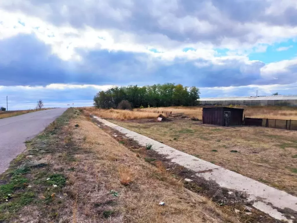 Участок в Ростовская область, Кагальницкий район, Иваново-Шамшевское ... - Фото 0