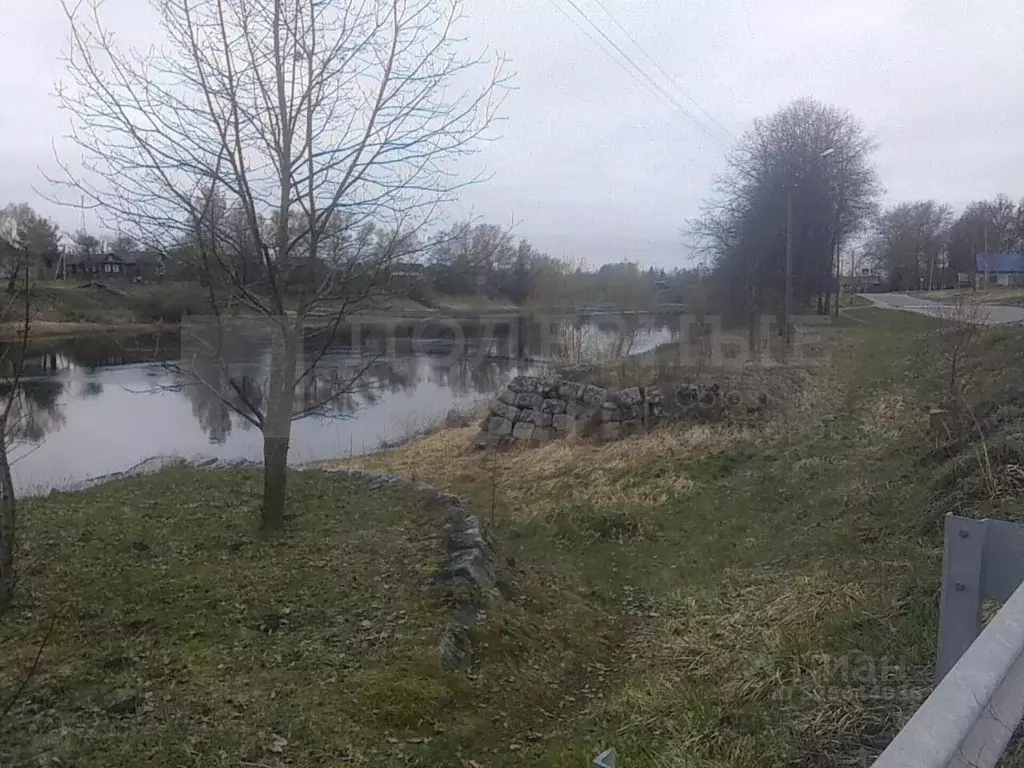 Участок в Новгородская область, Боровичский район, Опеченское с/пос, ... - Фото 1