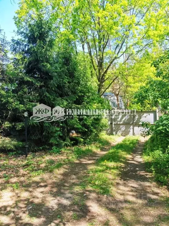 Дом в Курская область, Курчатовский район, с. Дичня  (128 м) - Фото 1