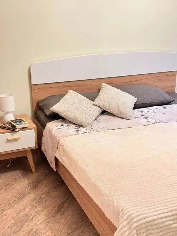 1-к кв. Воронежская область, Воронеж Средне-Московская ул., 45 (31.0 ... - Фото 2