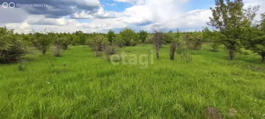 Участок в Рамонский район, Русскогвоздёвское сельское поселение, село ... - Фото 0